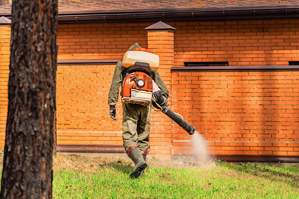 Trusted Bed Bug Control service in Oak Valley, NJ - Nex Pest Control